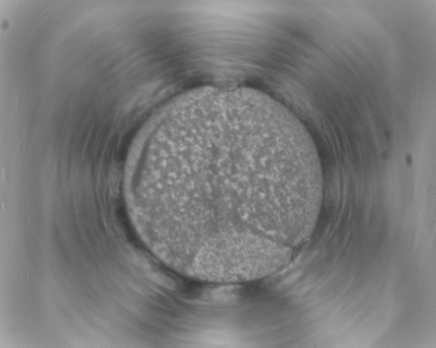X0000088230078200706121906