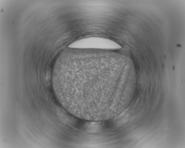 X0000088230082200706121907