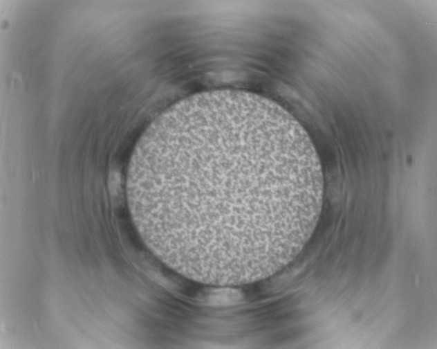 X0000088230087200706121907