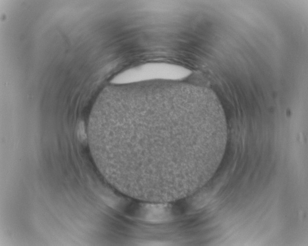 X0000088230089200706121907