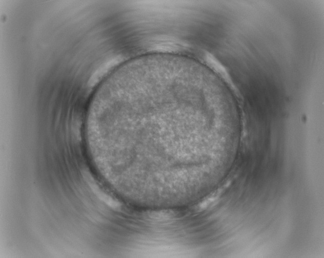 X0000088230106200706121906