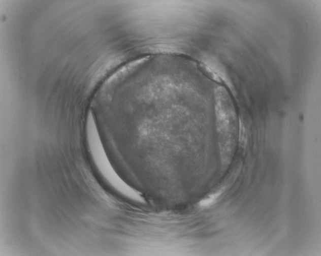 X0000088230109200706121906