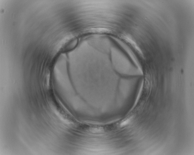 X0000088230110200706121906