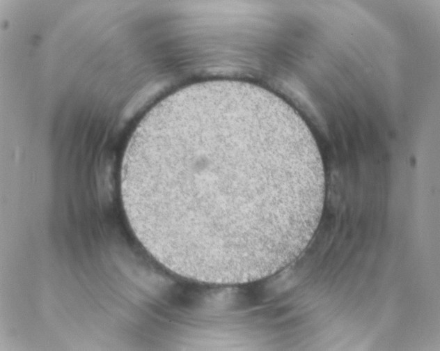 X0000088230116200706121906