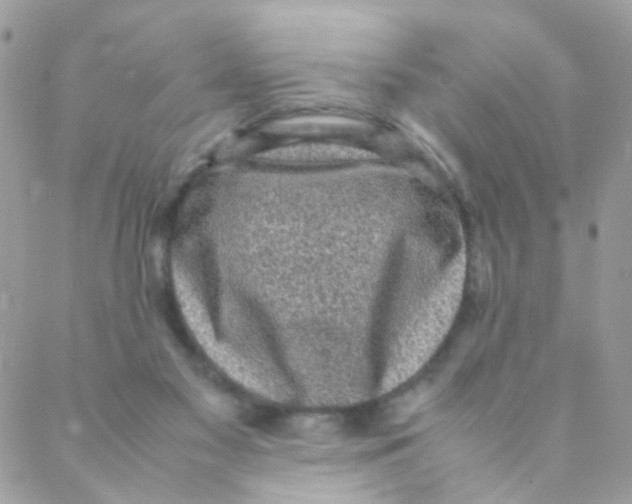 X0000088230117200706121906