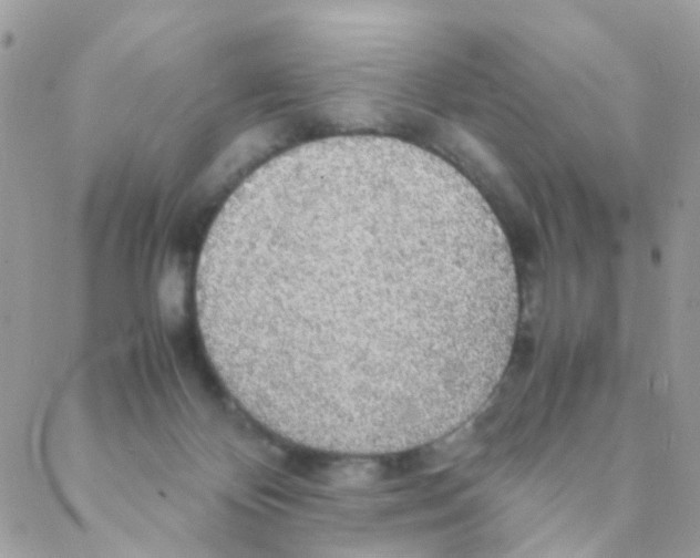 X0000088230124200706121906