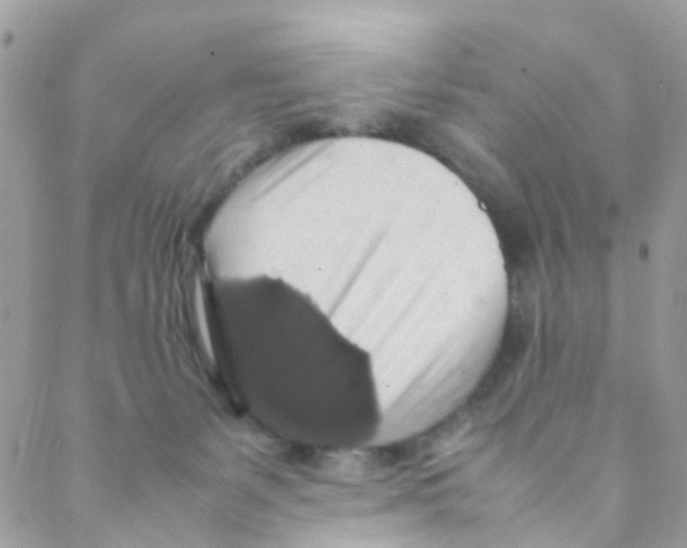 X0000088230127200706121905