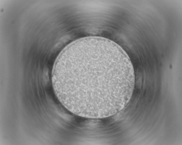 X0000088230128200706121905