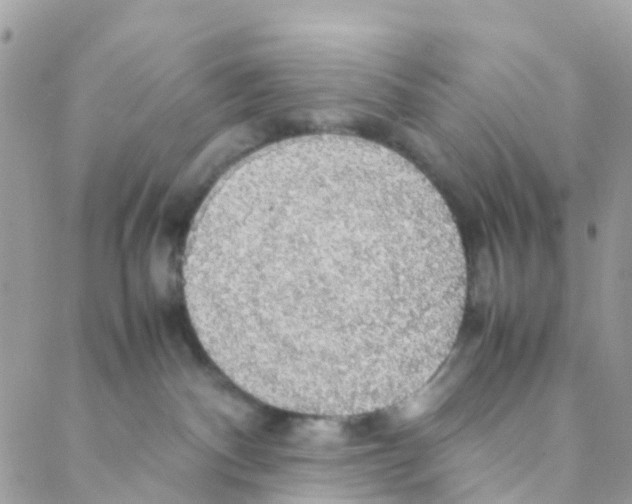 X0000088230140200706121905