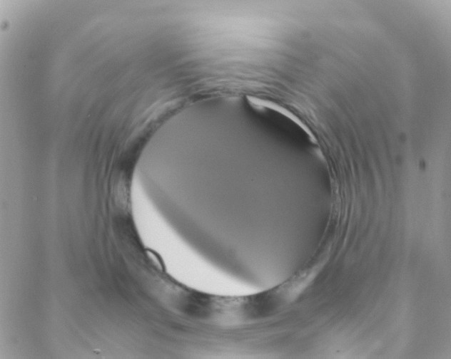 X0000088230143200706121905