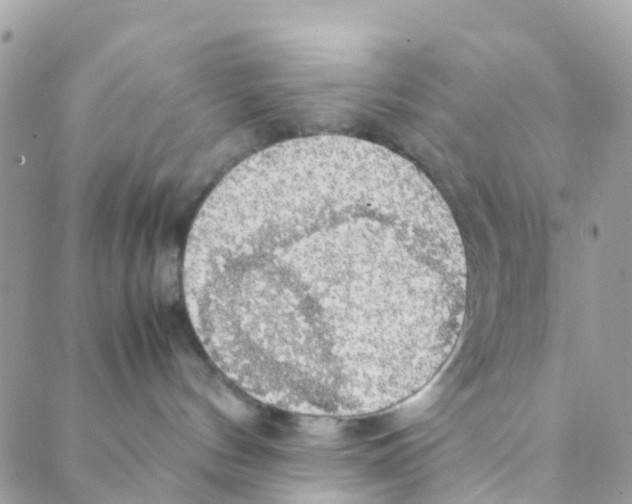X0000088230144200706121905