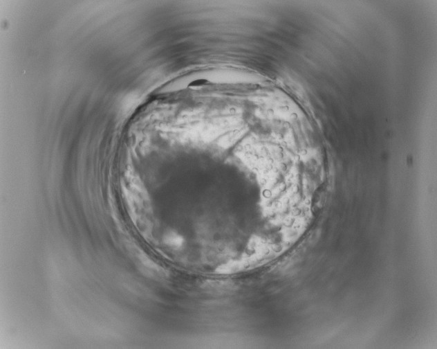 X0000088230145200706121904