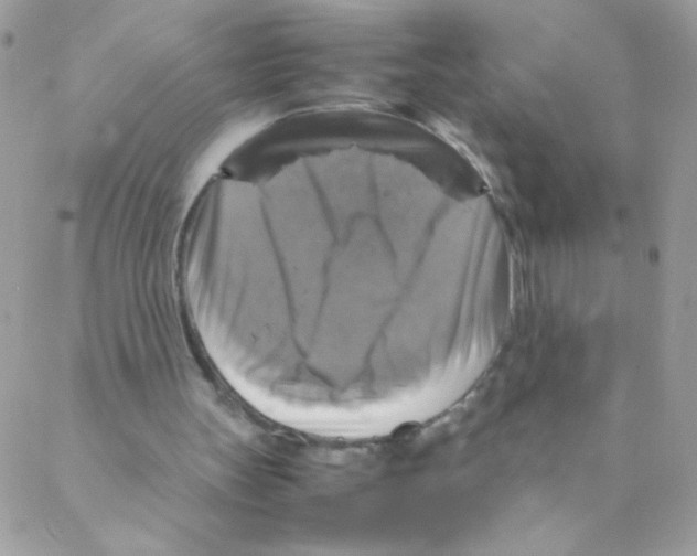 X0000088230147200706121904