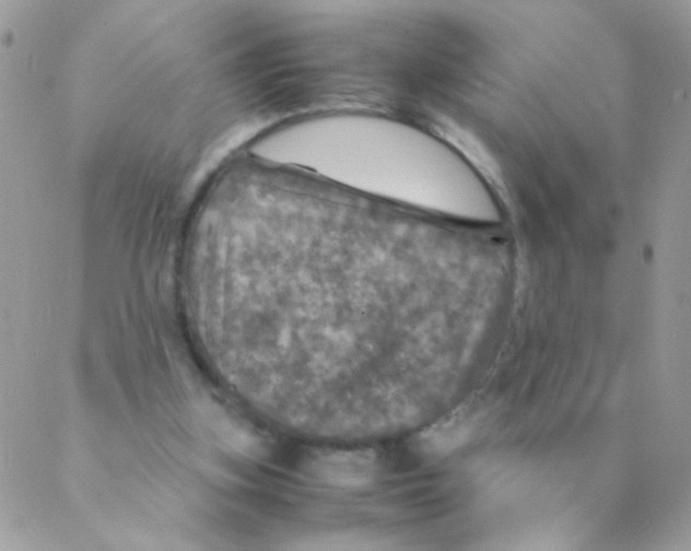 X0000088230155200706121905