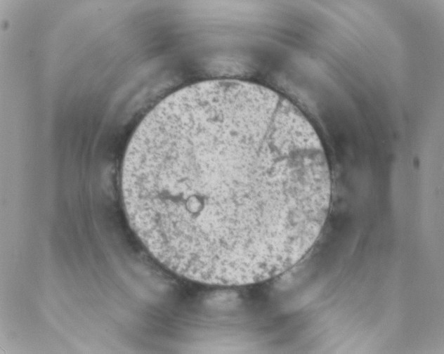 X0000088230162200706121905