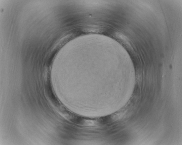 X0000088230167200706121905