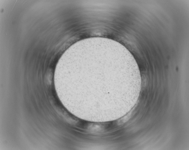 X0000088230174200706121905
