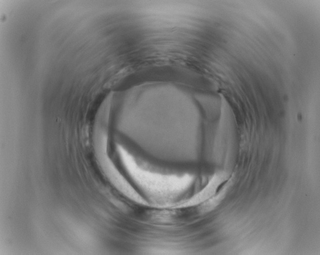 X0000088230182200706121905