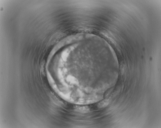 X0000088230185200706121905