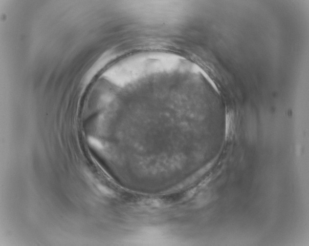 X0000088230195200706121904