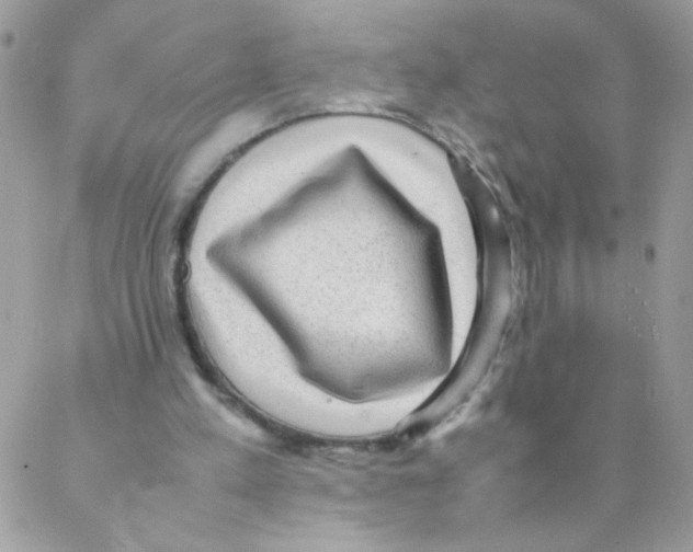 X0000088230197200706121904
