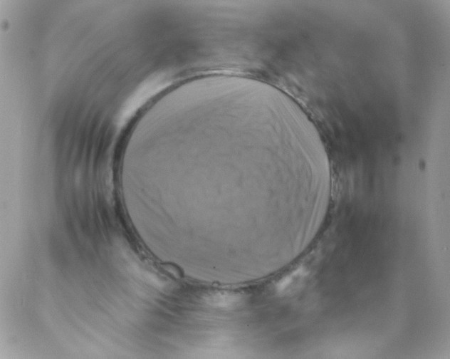 X0000088230198200706121904
