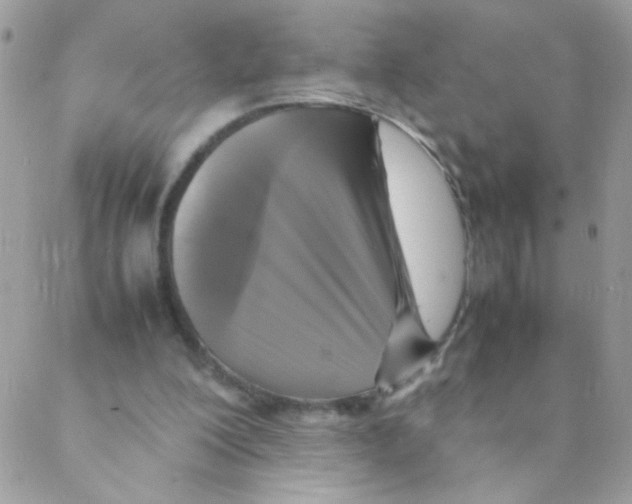 X0000088230200200706121904
