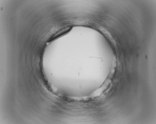 X0000088230201200706121904