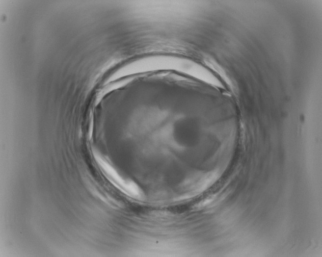 X0000088230203200706121904