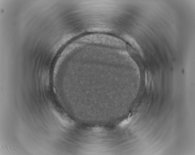 X0000088230204200706121904