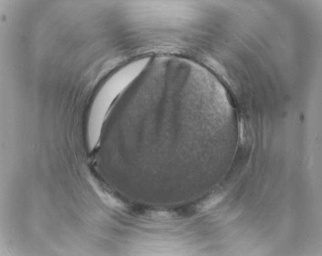 X0000088230205200706121904