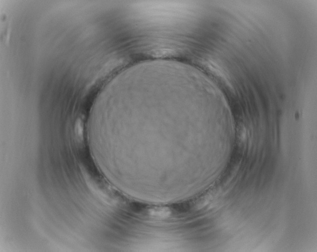 X0000088230214200706121904