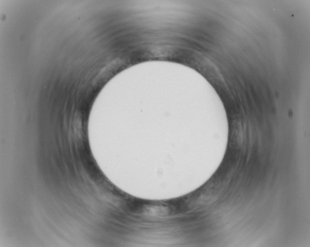 X0000088230220200706121904