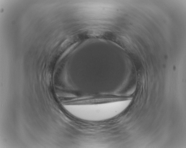 X0000088230227200706121904