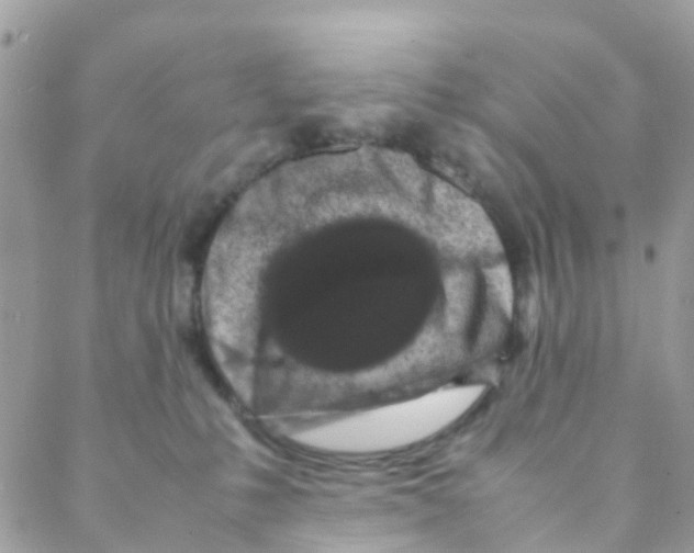 X0000088230231200706121904