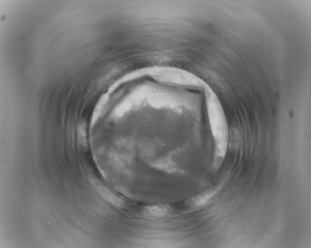X0000088230238200706121904