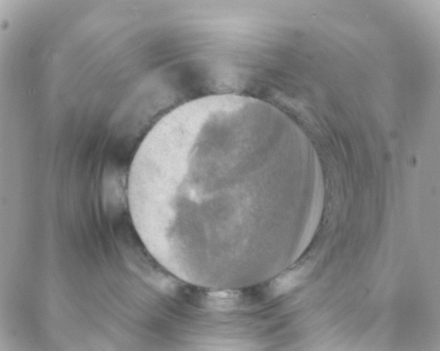 X0000088230240200706121904