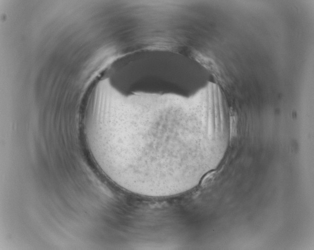 X0000088230243200706121903