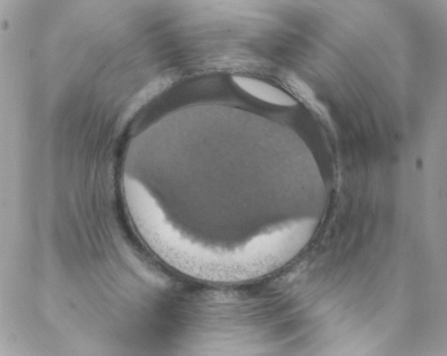 X0000088230250200706121903
