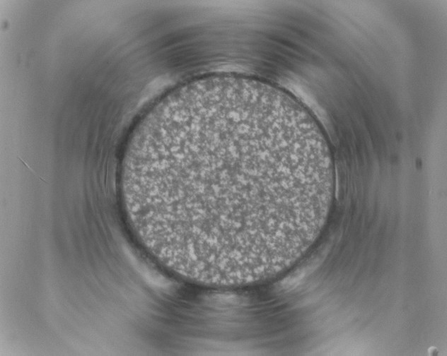 X0000088230253200706121903