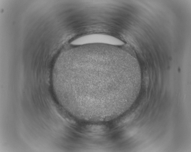 X0000088230255200706121903
