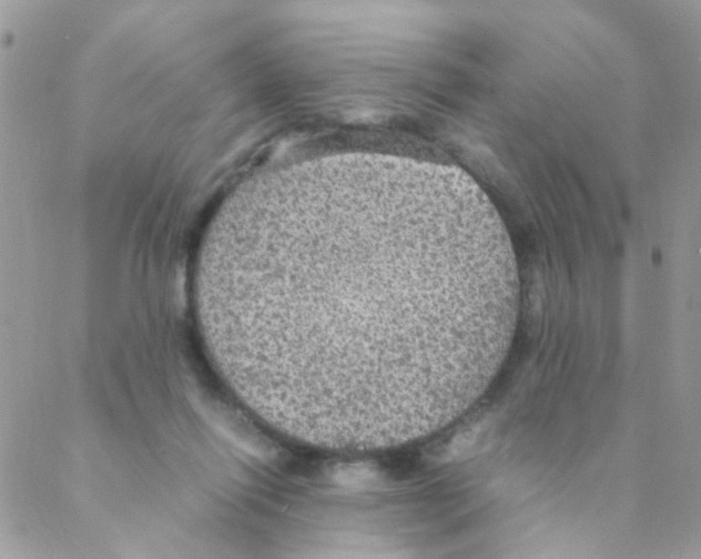 X0000088230262200706121903