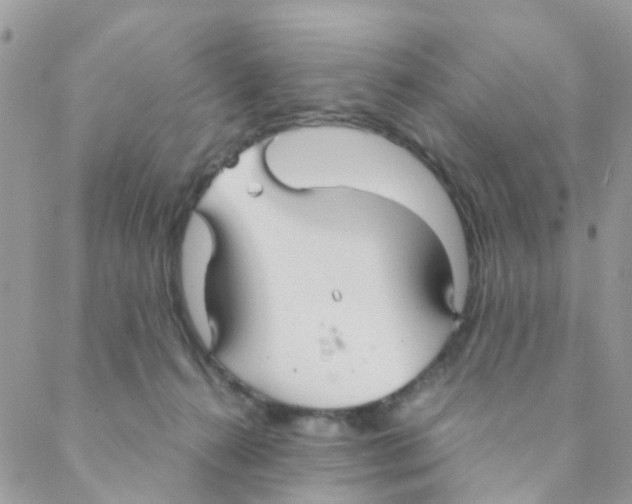 X0000088230272200706121903