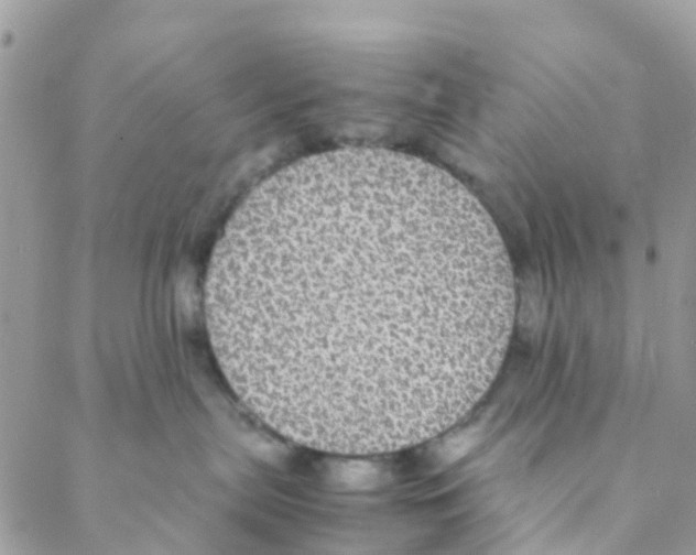 X0000088230287200706121904