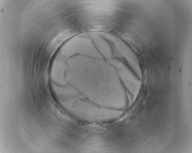 X0000088230290200706121903