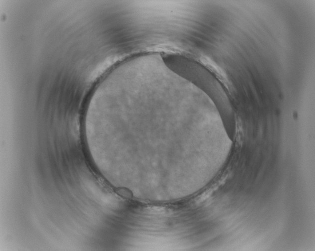 X0000088230298200706121903