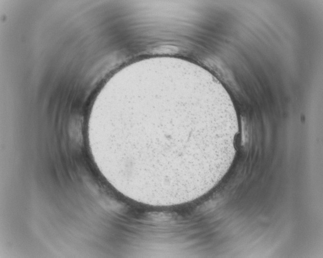 X0000088230300200706121903