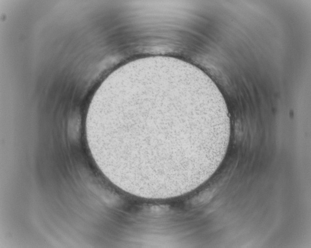 X0000088230304200706121902