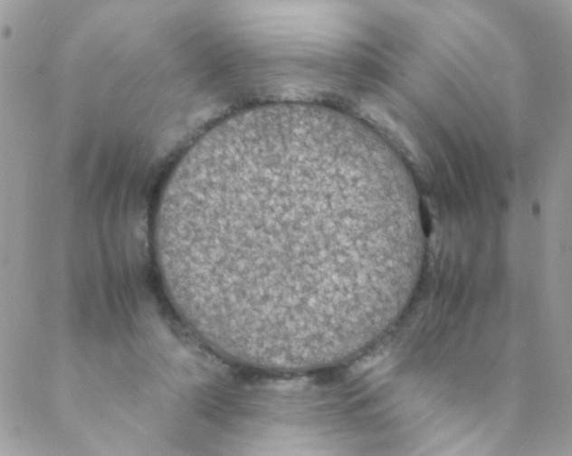 X0000088230306200706121902