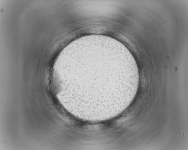 X0000088230307200706121902